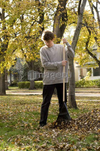 Teen boy raking leaves, Winnipeg, Canada