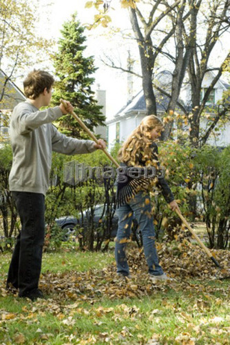 Teen brother throwing leaves at sister, Winnipeg, Canada