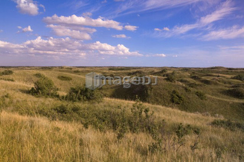 Stabilized dunes and prairie, Great Sand Hills, Southwestern Saskatchewan, Canada