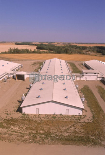 CPIG Hog Operation, Cudworth, Saskatchewan