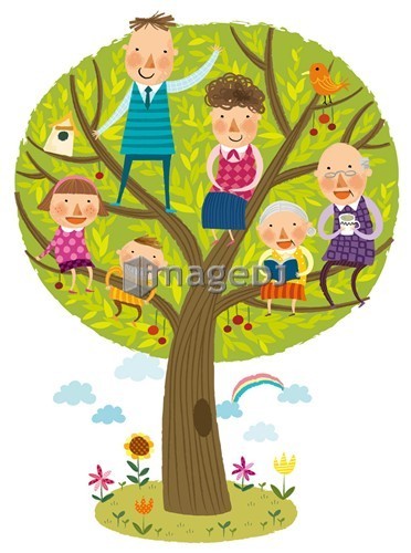 family tree