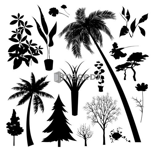 Set of silhouette of Different type  of trees and plant